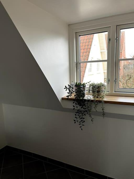 Lys Nyrenoveret Lejlighed I C Appartement